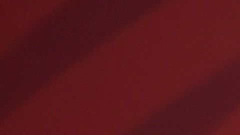 El canciller Marcelo Ebrard