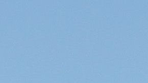 El castigo hubiera alejado a Christian Coleman del Mundial de Doha y los Juegos de Tokyo 2020