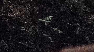 El atacante continuó su agresión hasta el estacionamiento de un cine.