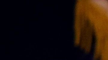 El jefe de la agencia migratoria respondió preguntas durante casi una hora.