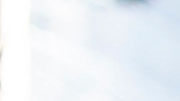 Protesta climática en NYC, septiembre 2019.