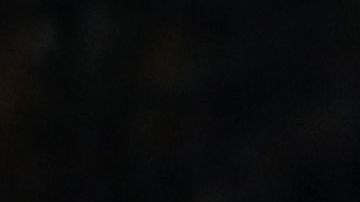 “Chicharito”, Gutiérrez, “Tecatito” y Jiménez entrarán en acción