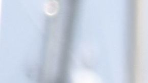 Agentes del FBI y otros funcionarios trabajan en el puerto de Santa Bárbara el 3 de septiembre de 2019 en Santa Bárbara, California.