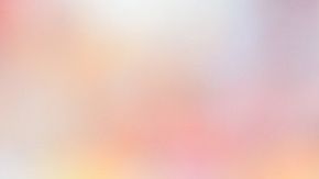 Romario es condenado a pagar una multa de $94 mil dólares.