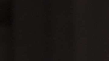 Los agentes han tenido una sobrecarga laboral desde el proceso electoral.