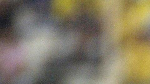 Alvin Mendoza, de América, disputando un juego de Copa Libertadores contra Colo Colo.