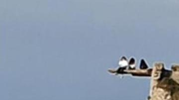 Adolescentes arriesgan la vida por tomarse una foto para las redes sociales.