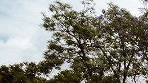 Esta foto de archivo muestra a la Guardia Nacional de México en el ejercicio de sus funciones.