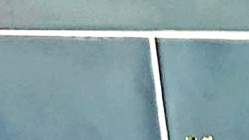 Crea tus propias versiones de ensalada, integra tus ingredientes favoritos y llena de nutrientes tu organismo.