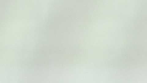 Erick Gutiérrez busca ser figura en el PSV esta temporada.