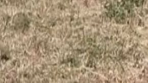 Hallan cuerpo de mujer brutalmente desmembrada en zona que disputan huachicoleros y narcos