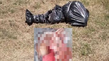 Hallan cuerpo de mujer brutalmente desmembrada en zona que disputan huachicoleros y narcos