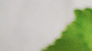 Con fines terapéuticos o medicinales -por sus propiedades químicas- pueden resultar antidiabéticas, antiinflamatorias, antioxidantes, antisépticas, estimulantes y relajantes, entre otros.