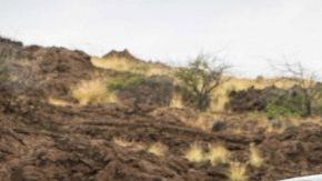 Honda Odyssey LX, el vehículos más barato de asegurar bajo la cobertura completa