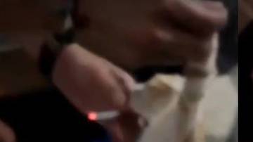 Imágenes del polémico vídeo en el que se maltrataba a los gatos.