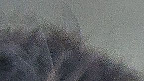 Raúl Jiménez y Guillermo Ochoa nunca jugarían para Chivas, según Amaury Vergara.