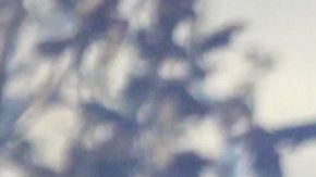 Dos aficionados de Rayados fueron sentenciados a más de 4 años de prisión.