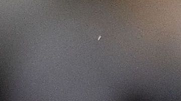 Javier 'Chicharito' Hernández