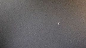 Javier Hernández llegó a Sevilla