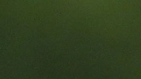 Guardado alcanza a Cristiano Ronaldo en esta marca.