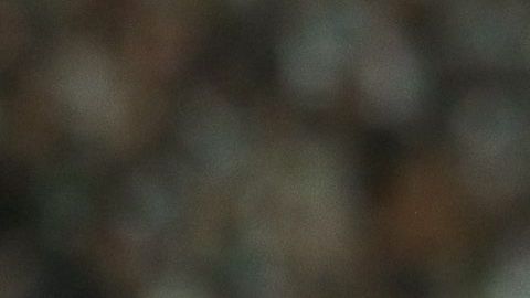 Tras nueve jornadas, Julio César Furch es el líder de goleo individual.