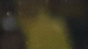 Francisco Córdova es uno de los canteranos que mejor le han respondido a Miguel Herrera.