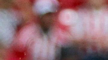 El experimentado atacante del Rebaño quiere anotar hoy para no cumplir mañana un año sin gol.