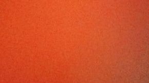 América confirmo que tendrá varios jugadores de vuelta para el clásico contra Pumas