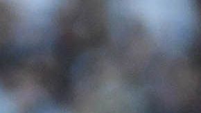 Marco Fabián habría invitado a unas chicas a "enfiestarse" con el Tri.