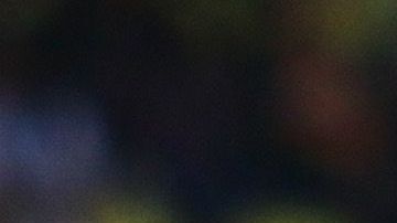 Chivas cayó en Morelia 1-0.