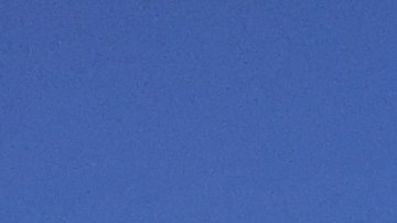 Pájaros en Oakland, California.