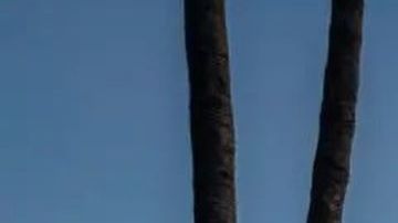 La casa fue vendida en $3.925 millones.