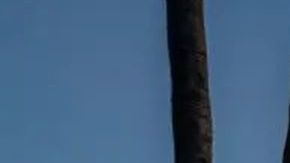 La casa fue vendida en $3.925 millones.