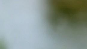 Sin duda estas exclusivas aplicaciones están destinadas solo a unos pocos.