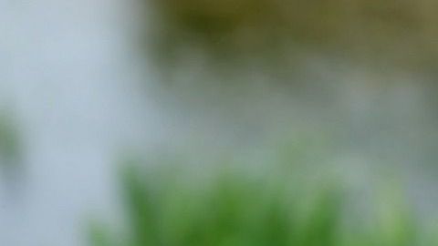 Sin duda estas exclusivas aplicaciones están destinadas solo a unos pocos.