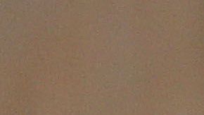 Jelena Dokic poco tiempo después de publicar su libro que fue Bestseller.