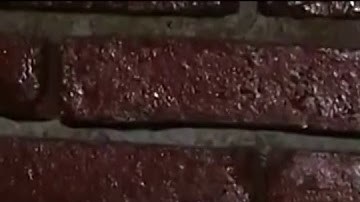 Jeremías Jiménez Cruz (50)