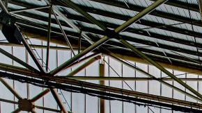 Fans del ADO Den Haag cooperaron con esta noble causa