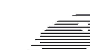 El emblema derrotó al de Sudáfrica 2010 con el 53% de los votos