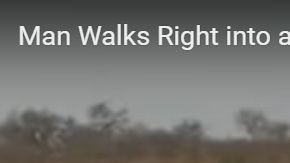 El guía tomó con calma el encuentro con los leones.