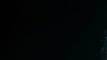 José Joel, hijo mayor de José José