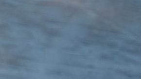 El lomo de cerdo es una maravillosa y económica opción para las recetas de otoño y verano.