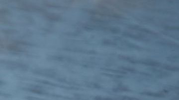 El lomo de cerdo es una maravillosa y económica opción para las recetas de otoño y verano.