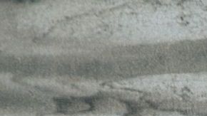 El consumo de palanquetas de cacahuate favorece la disminución del colesterol malo y contiene un aporte significativo en vitamina E y minerales que ayudan a oxigenar la sangre.