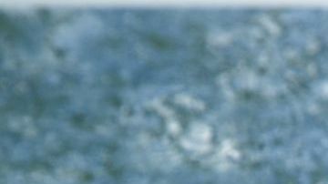 Una de las mejores recomendaciones para cuidar tu salud y peso adecuado, es preparar tus propios postres; de esta manera podrás utilizar ingredientes saludables y con pocas calorías.