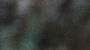 Los partidos entre México y Estados Unidos siempre sacan chispas.