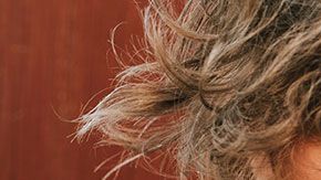 A los millennials no les importa gastar una buena cantidad de dinero en sus peludos amigos.