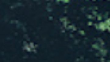 Volkswagen remueve a The Beatles por una buena causa