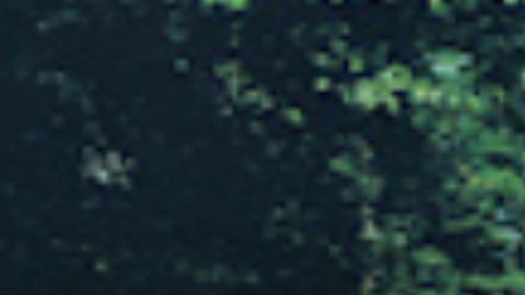 Volkswagen remueve a The Beatles por una buena causa