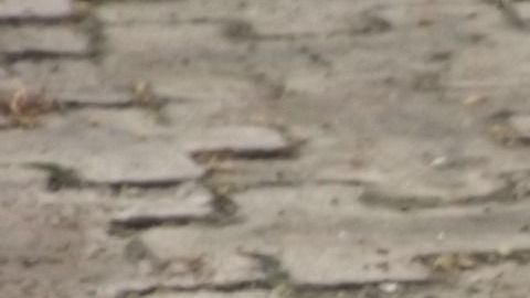 El incendio lo causó una mujer quemando cartas de amor.